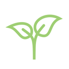 Трави та фіточаї