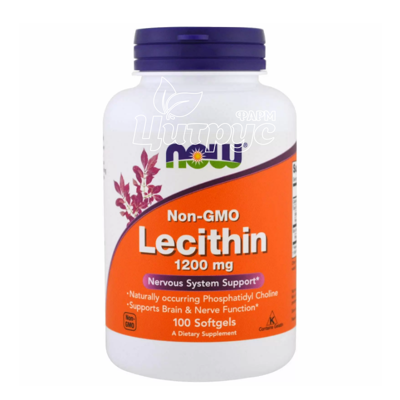 фото 1/Лецитин 1200 мг 100 штук Нау Фудс (Lecithin Now Foods) капсули гелеві 