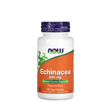 Ехінацея 400 мг 100 штук Нау Фудс (Echinacea Now Foods) Підтримка імунітету капсули вегетеріанські 
