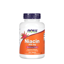 Ніацин (Вітамін В3) 500 мг 250 штук Нау Фудс (Niacin Now Foods) Без почервоніння і відчуття жару таблетки
